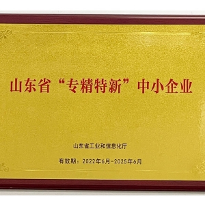 山東省“專(zhuān)精特新”中小企業(yè)